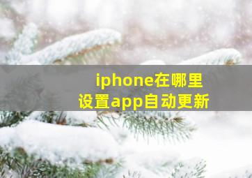 iphone在哪里设置app自动更新