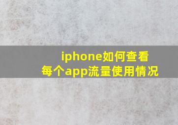 iphone如何查看每个app流量使用情况