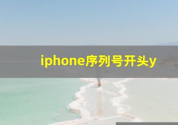 iphone序列号开头y