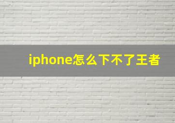 iphone怎么下不了王者