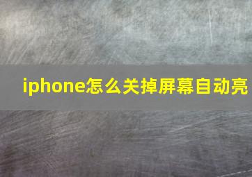 iphone怎么关掉屏幕自动亮