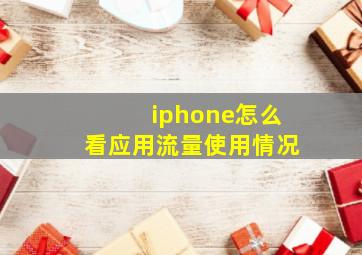 iphone怎么看应用流量使用情况