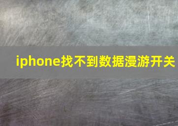 iphone找不到数据漫游开关