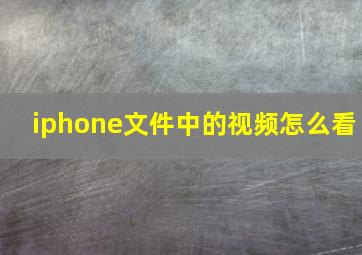 iphone文件中的视频怎么看