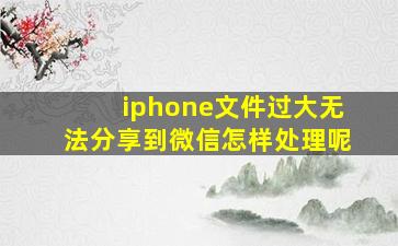 iphone文件过大无法分享到微信怎样处理呢