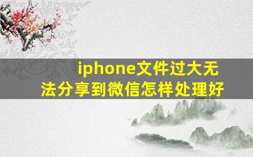 iphone文件过大无法分享到微信怎样处理好