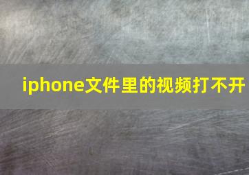 iphone文件里的视频打不开