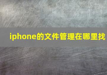 iphone的文件管理在哪里找