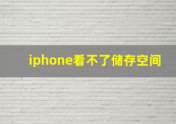 iphone看不了储存空间