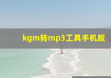 kgm转mp3工具手机版