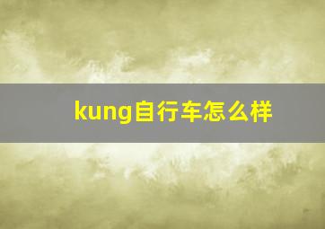 kung自行车怎么样