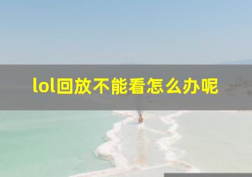 lol回放不能看怎么办呢