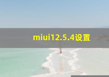 miui12.5.4设置