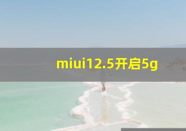 miui12.5开启5g