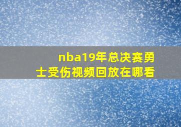 nba19年总决赛勇士受伤视频回放在哪看