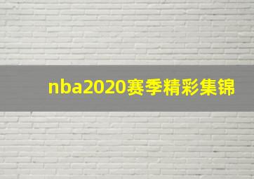 nba2020赛季精彩集锦