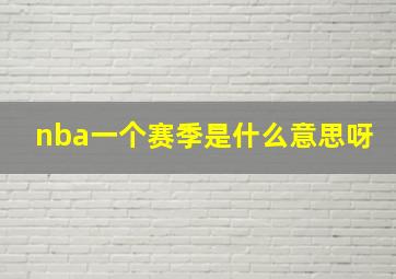 nba一个赛季是什么意思呀