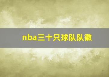 nba三十只球队队徽