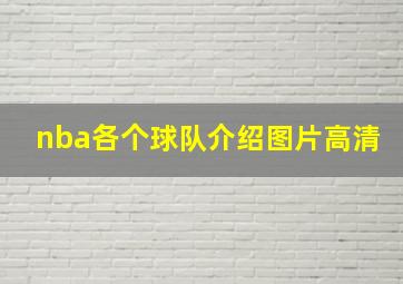 nba各个球队介绍图片高清