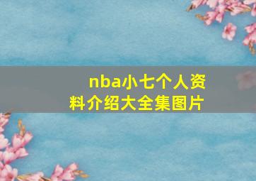 nba小七个人资料介绍大全集图片