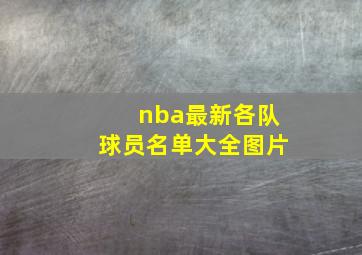 nba最新各队球员名单大全图片