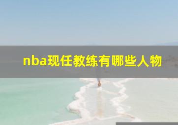 nba现任教练有哪些人物