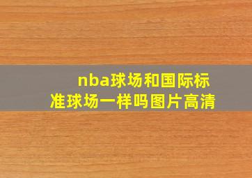 nba球场和国际标准球场一样吗图片高清