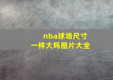 nba球场尺寸一样大吗图片大全