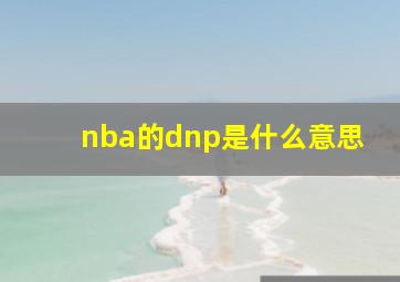 nba的dnp是什么意思