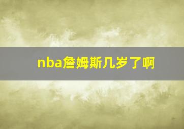 nba詹姆斯几岁了啊