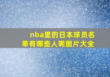 nba里的日本球员名单有哪些人呢图片大全