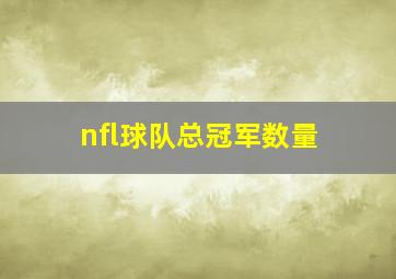 nfl球队总冠军数量