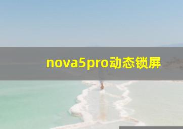 nova5pro动态锁屏