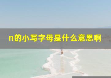 n的小写字母是什么意思啊