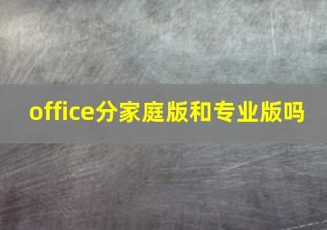 office分家庭版和专业版吗