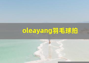 oleayang羽毛球拍