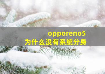 opporeno5为什么没有系统分身