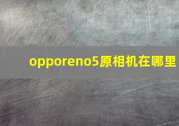 opporeno5原相机在哪里