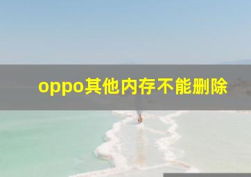 oppo其他内存不能删除