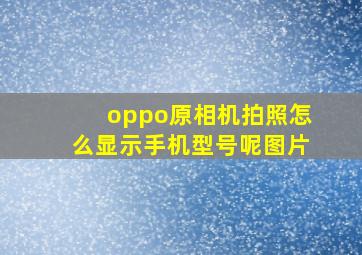 oppo原相机拍照怎么显示手机型号呢图片