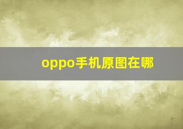 oppo手机原图在哪