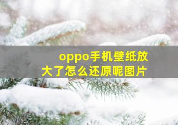 oppo手机壁纸放大了怎么还原呢图片