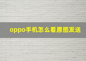 oppo手机怎么看原图发送