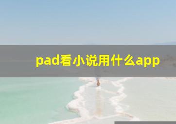 pad看小说用什么app