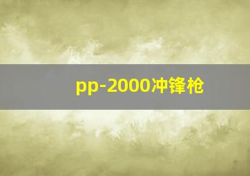 pp-2000冲锋枪