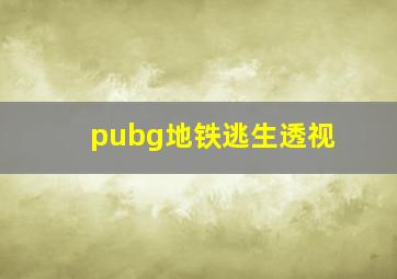 pubg地铁逃生透视