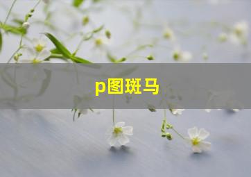 p图斑马