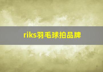 riks羽毛球拍品牌