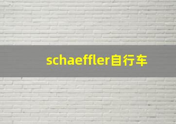 schaeffler自行车