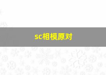 sc相模原对